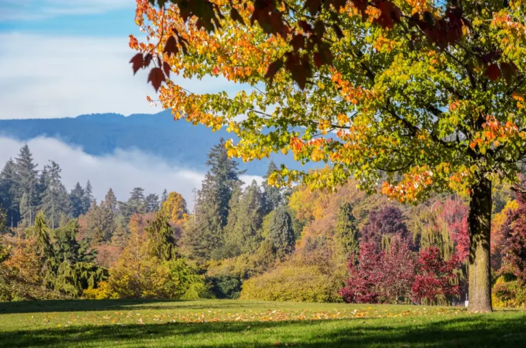 Stanley Park